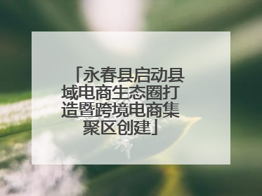 永春县启动县域电商生态圈打造暨跨境电商集聚区创建