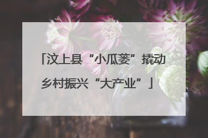 汶上县“小瓜蒌”撬动乡村振兴“大产业”