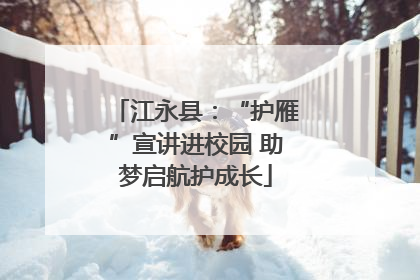 江永县：“护雁”宣讲进校园 助梦启航护成长