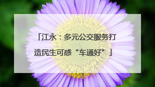 江永：多元公交服务打造民生可感“车通好”