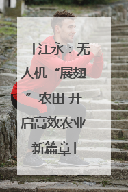 江永：无人机“展翅”农田 开启高效农业新篇章