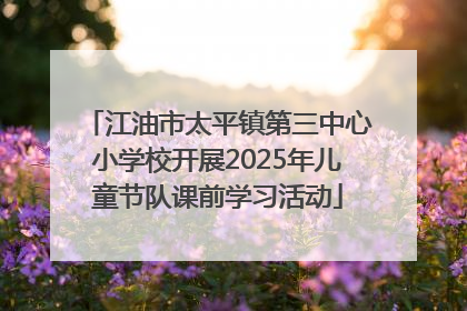 江油市太平镇第三中心小学校开展2025年儿童节队课前学习活动