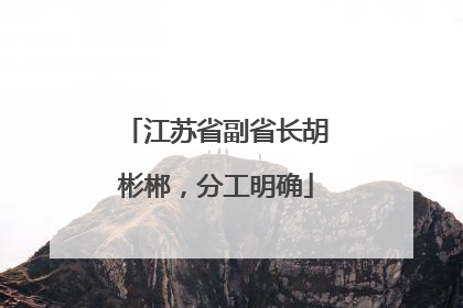 江苏省副省长胡彬郴，分工明确