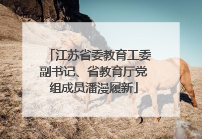 江苏省委教育工委副书记、省教育厅党组成员潘漫履新