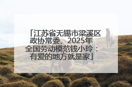 江苏省无锡市梁溪区政协常委、2025年全国劳动模范钱小玲：有爱的地方就是家