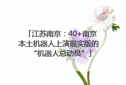 江苏南京：40+南京本土机器人上演现实版的“机器人总动员”