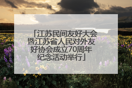 江苏民间友好大会暨江苏省人民对外友好协会成立70周年纪念活动举行