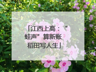 江西上高：“蛙声”算新账 稻田写人生
