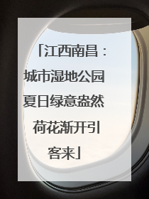 江西南昌：城市湿地公园夏日绿意盎然 荷花渐开引客来