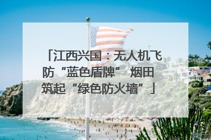 江西兴国：无人机飞防“蓝色盾牌” 烟田筑起“绿色防火墙”
