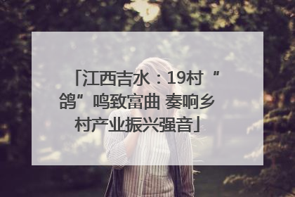 江西吉水：19村“鸽”鸣致富曲 奏响乡村产业振兴强音