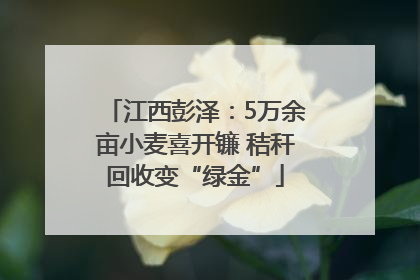 江西彭泽：5万余亩小麦喜开镰 秸秆回收变“绿金”