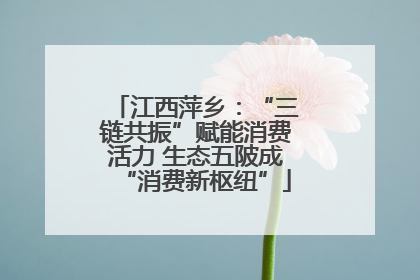 江西萍乡：“三链共振”赋能消费活力 生态五陂成“消费新枢纽”