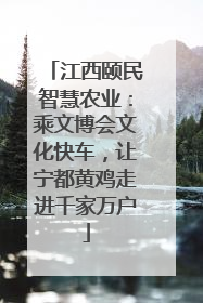 江西颐民智慧农业：乘文博会文化快车，让宁都黄鸡走进千家万户