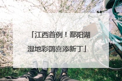江西首例！鄱阳湖湿地彩鹮喜添新丁