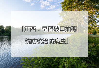江西：早稻破口抽穗 统防统治防病虫