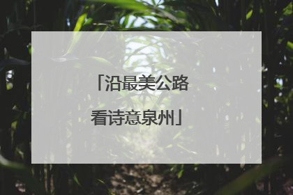 沿最美公路 看诗意泉州