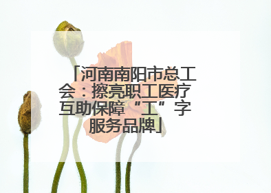 河南南阳市总工会：擦亮职工医疗互助保障“工”字服务品牌