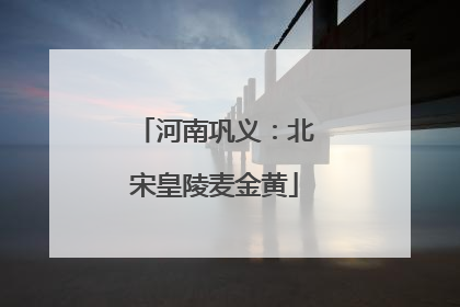 河南巩义：北宋皇陵麦金黄