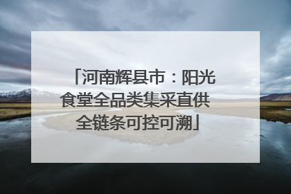 河南辉县市：阳光食堂全品类集采直供 全链条可控可溯
