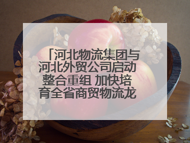 河北物流集团与河北外贸公司启动整合重组 加快培育全省商贸物流龙头企业