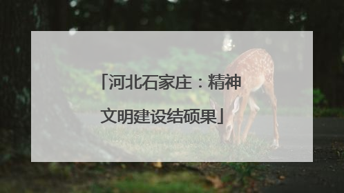 河北石家庄：精神文明建设结硕果