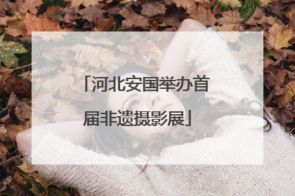 河北安国举办首届非遗摄影展