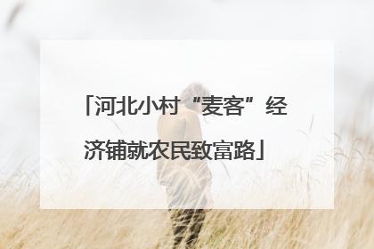 河北小村“麦客”经济铺就农民致富路