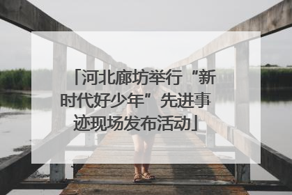 河北廊坊举行“新时代好少年”先进事迹现场发布活动