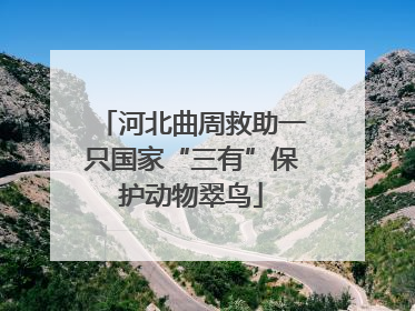 河北曲周救助一只国家“三有”保护动物翠鸟