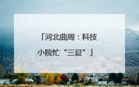 河北曲周：科技小院忙“三夏”