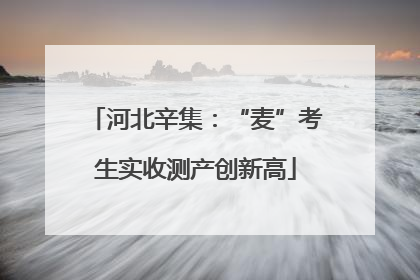 河北辛集：“麦”考生实收测产创新高