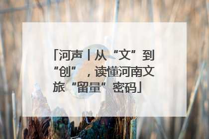 河声丨从“文”到“创”，读懂河南文旅“留量”密码