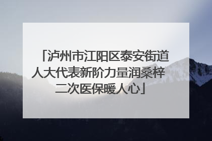 泸州市江阳区泰安街道人大代表新阶力量润桑梓 二次医保暖人心