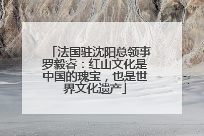 法国驻沈阳总领事罗毅睿：红山文化是中国的瑰宝，也是世界文化遗产
