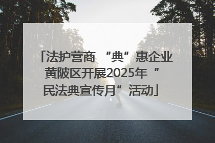 法护营商 “典”惠企业 黄陂区开展2025年“民法典宣传月”活动
