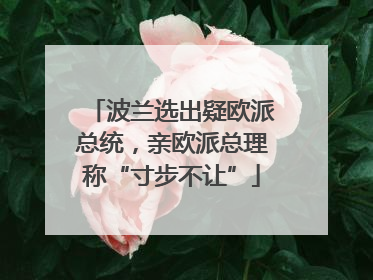 波兰选出疑欧派总统，亲欧派总理称“寸步不让”