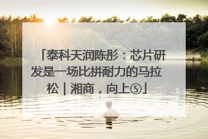 泰科天润陈彤：芯片研发是一场比拼耐力的马拉松｜湘商，向上⑤