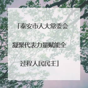 泰安市人大常委会凝聚代表力量赋能全过程人民民主