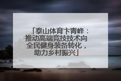 泰山体育卞青峰：推动高端竞技技术向全民健身装备转化，助力乡村振兴