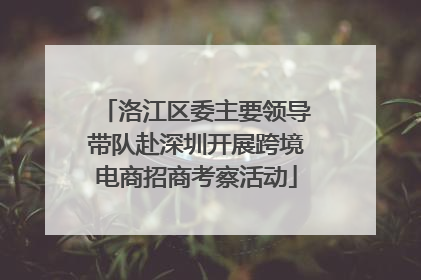 洛江区委主要领导带队赴深圳开展跨境电商招商考察活动