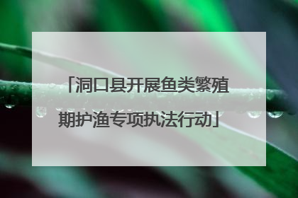洞口县开展鱼类繁殖期护渔专项执法行动