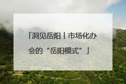 洞见岳阳丨市场化办会的“岳阳模式”