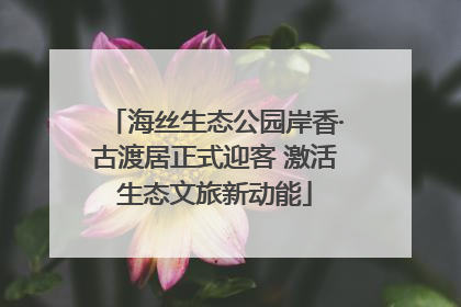 海丝生态公园岸香·古渡居正式迎客 激活生态文旅新动能