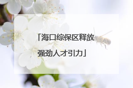 海口综保区释放强劲人才引力