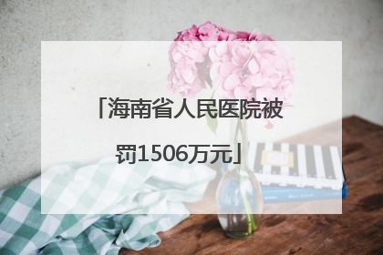 海南省人民医院被罚1506万元