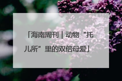 海南周刊｜动物“托儿所”里的双倍母爱