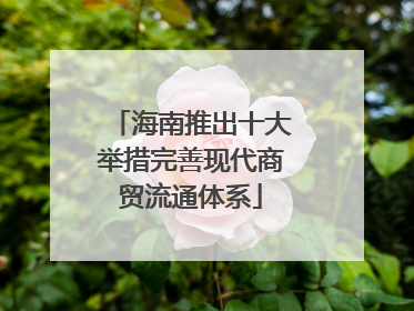 海南推出十大举措完善现代商贸流通体系