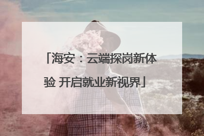 海安：云端探岗新体验 开启就业新视界