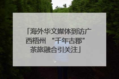 海外华文媒体到访广西梧州 “千年古郡”茶旅融合引关注